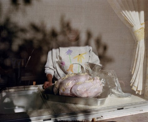 larry-sultan-thanksgiving-1985-800x658