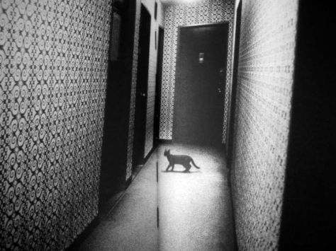 b5fc1a6b3be469f32897502a6534b818