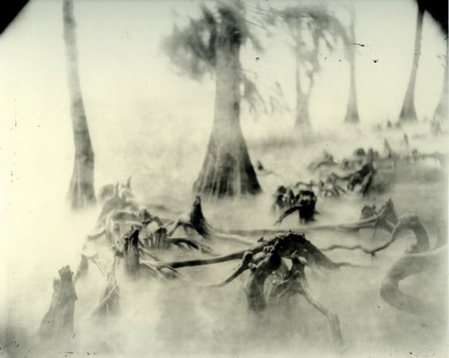 SALLY MANN :: DEEP SOUTH, 2005 | The Incubator